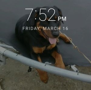 Meet your Posher, Sara